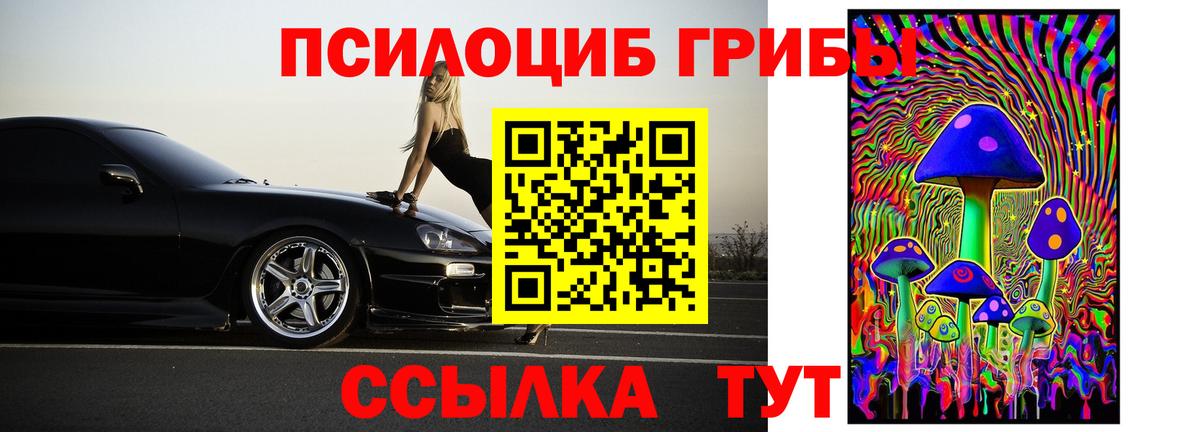 Галлюциногенные грибы ЛСД Котовск