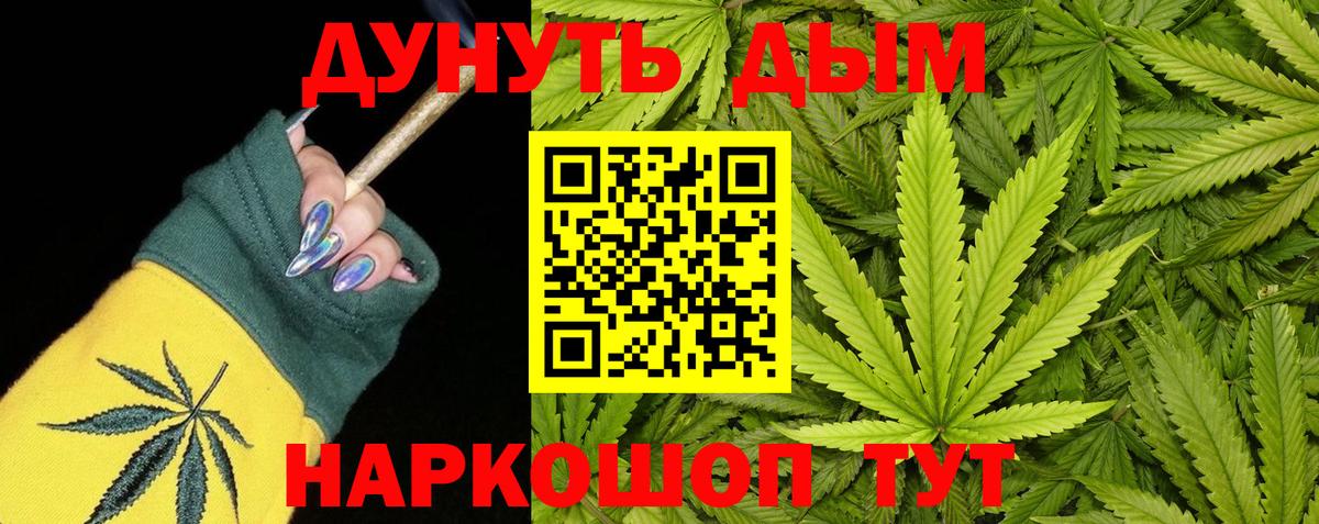 Конопля гибрид Котовск